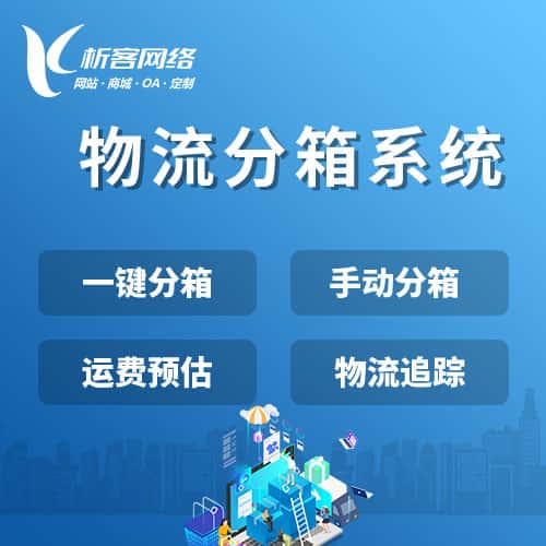 俄罗斯物流分箱系统