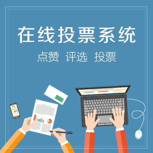 俄罗斯在线投票系统