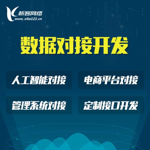 俄罗斯智能数据对接