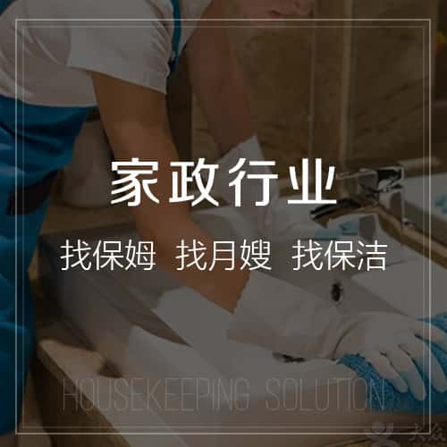 俄罗斯家政