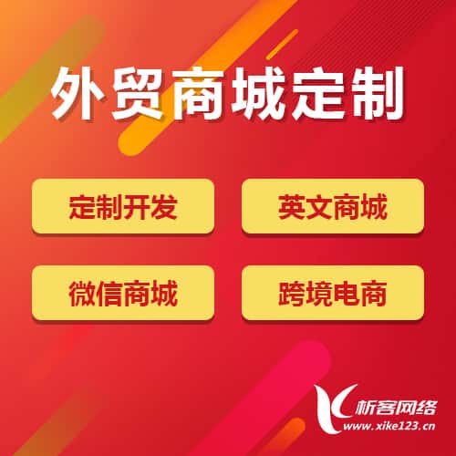 俄罗斯外贸商城定制
