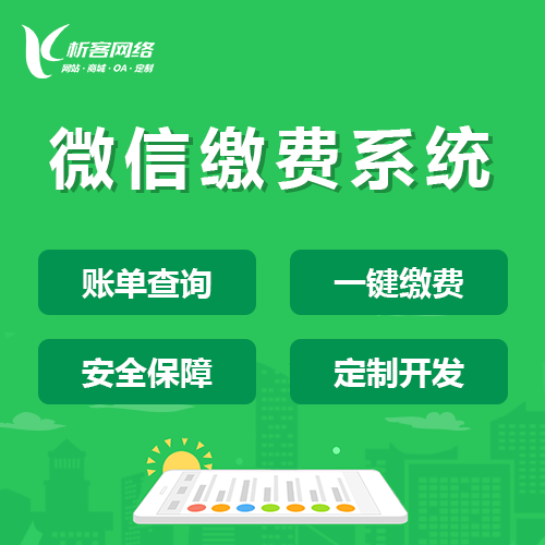 俄罗斯缴费系统