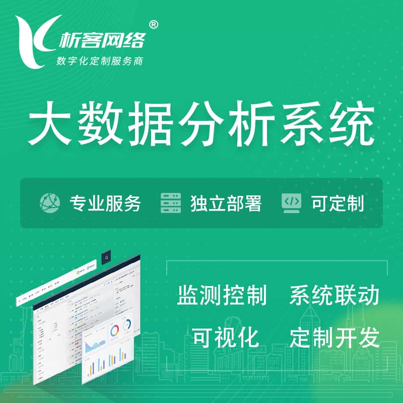俄罗斯大数据统计分析系统