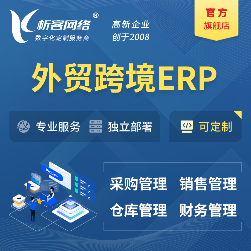 俄罗斯外贸跨境ERP软件生产海外仓ERP管理系统